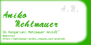 aniko mehlmauer business card